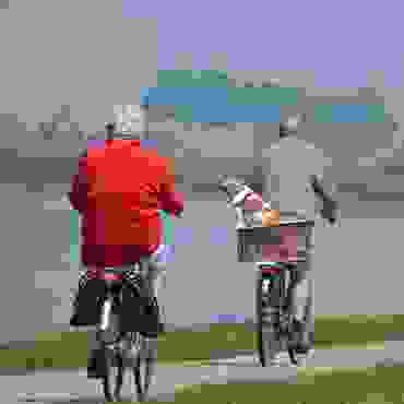triangle4